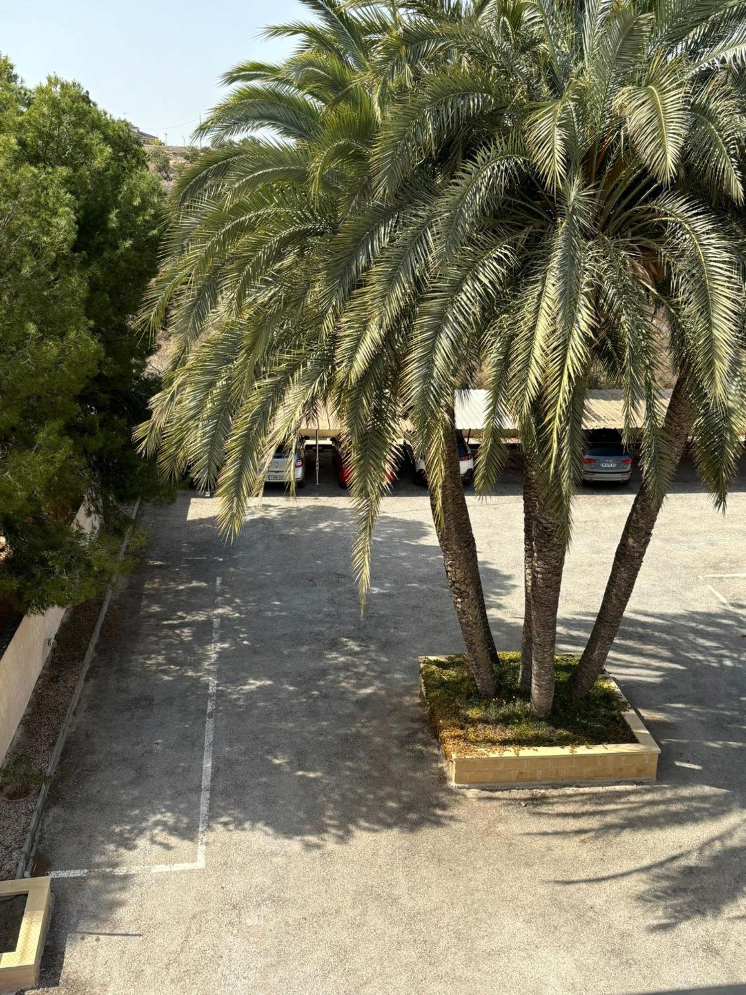 Apartamentos Congo El Campello Kültér fotó