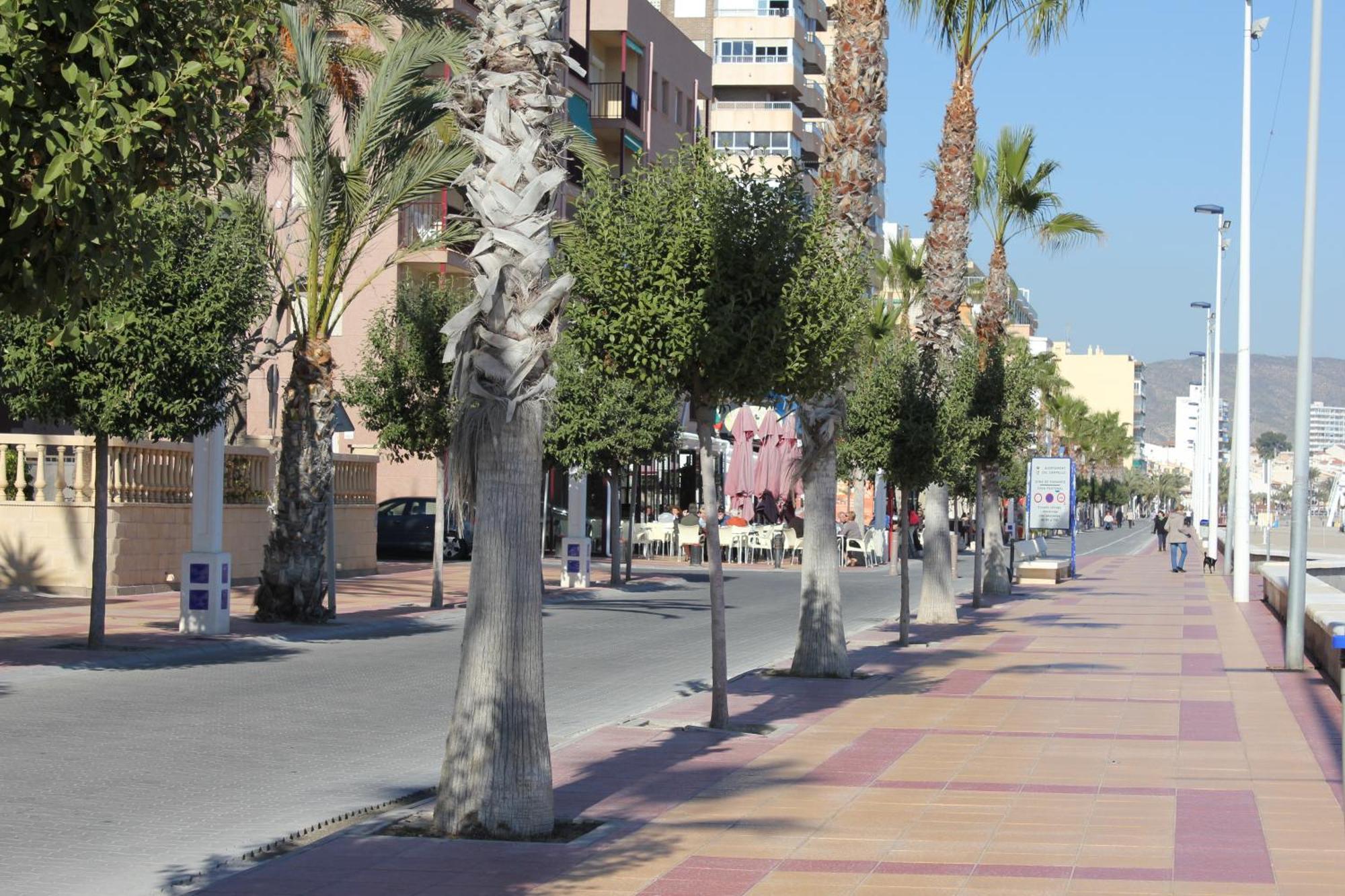 Apartamentos Congo El Campello Kültér fotó